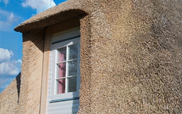 Trethewey thatch roof disadvantages
